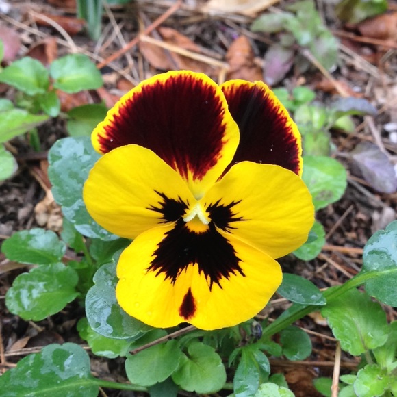 Meet your Posher, Megan - Picture 6 of 8